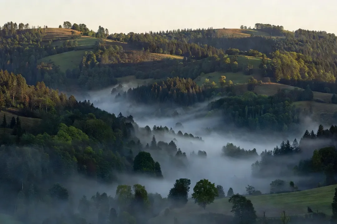 Paysage vallonné et boisé de Franche-Comté, terrain typique des maquis du Doubs