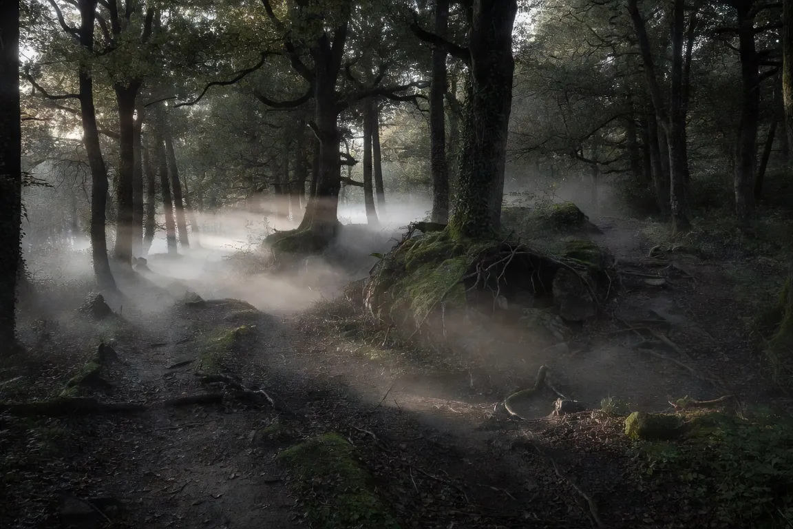 Forêt du Doubs, Franche-Comté, lieu de refuge des maquisards de la Résistance